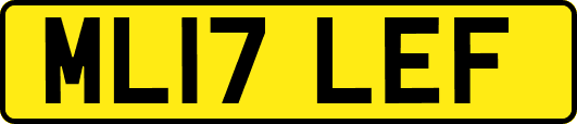 ML17LEF