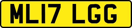ML17LGG