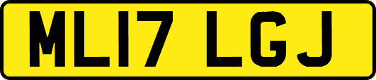 ML17LGJ