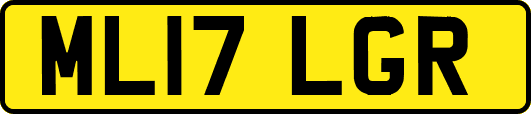 ML17LGR