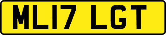 ML17LGT