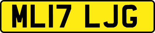ML17LJG
