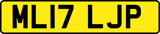 ML17LJP