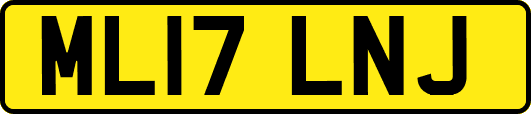 ML17LNJ