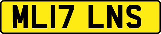 ML17LNS