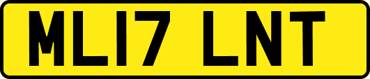 ML17LNT