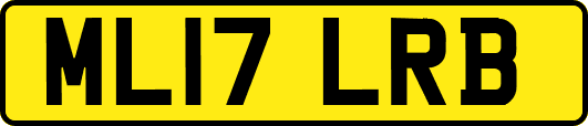 ML17LRB