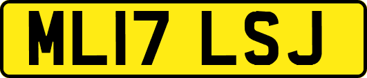 ML17LSJ