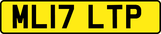 ML17LTP