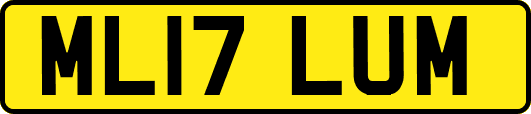 ML17LUM
