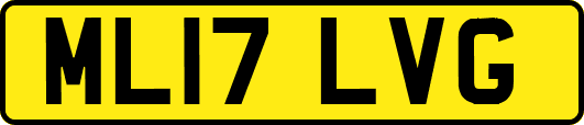 ML17LVG
