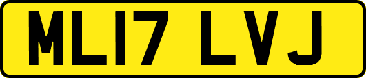 ML17LVJ