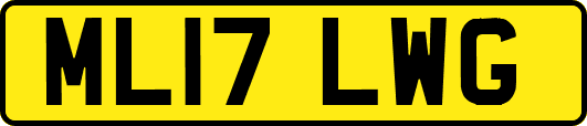 ML17LWG
