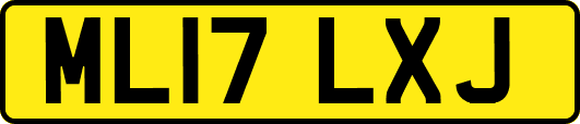 ML17LXJ