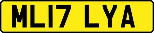 ML17LYA