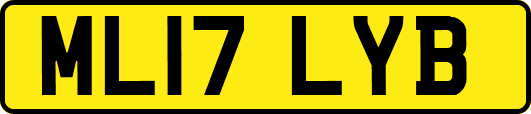 ML17LYB