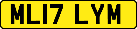 ML17LYM