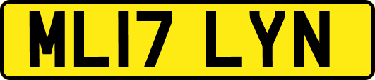 ML17LYN