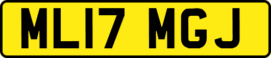 ML17MGJ
