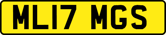 ML17MGS
