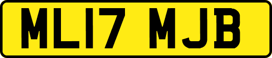 ML17MJB