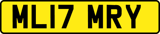 ML17MRY