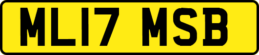 ML17MSB