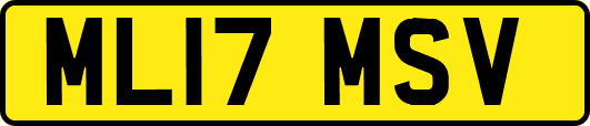 ML17MSV