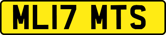 ML17MTS