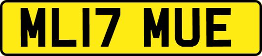 ML17MUE