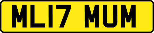 ML17MUM