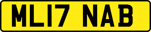 ML17NAB