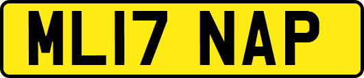 ML17NAP