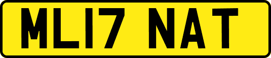 ML17NAT