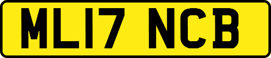 ML17NCB