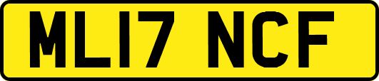 ML17NCF