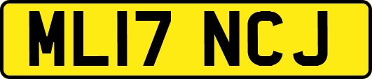 ML17NCJ