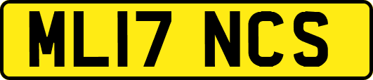 ML17NCS