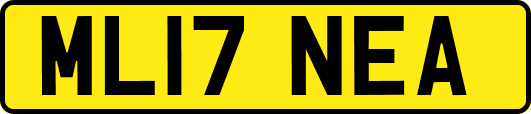 ML17NEA