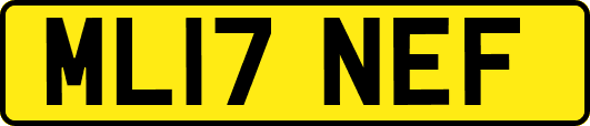 ML17NEF