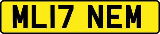 ML17NEM