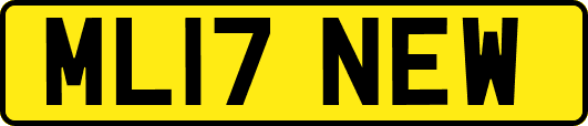 ML17NEW