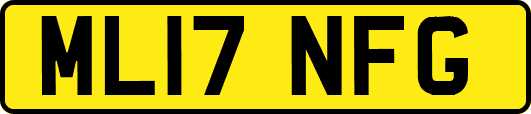 ML17NFG