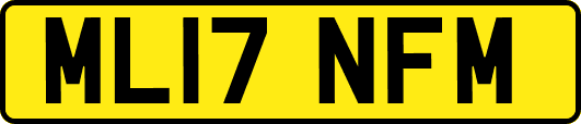 ML17NFM