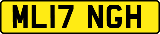 ML17NGH