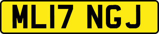 ML17NGJ