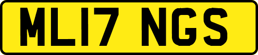 ML17NGS