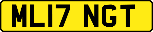 ML17NGT