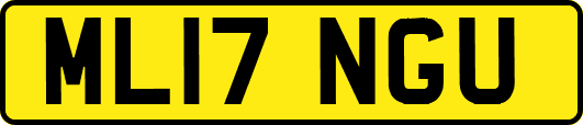 ML17NGU