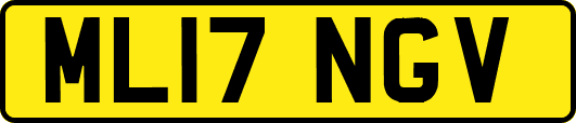 ML17NGV